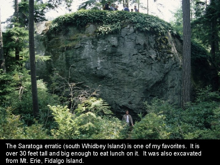 The Saratoga erratic (south Whidbey Island) is one of my favorites. It is over