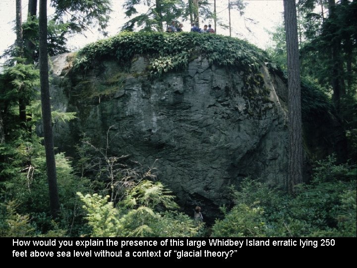 How would you explain the presence of this large Whidbey Island erratic lying 250