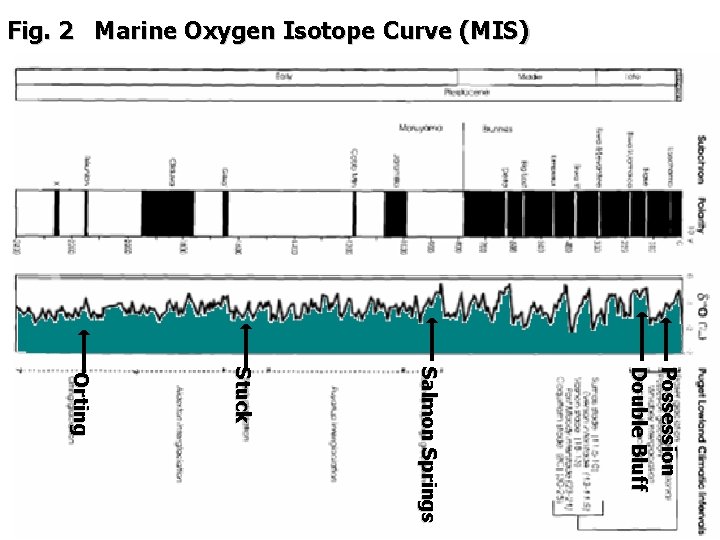 Fig. 2 Marine Oxygen Isotope Curve (MIS) Possession Double Bluff Salmon Springs Stuck Orting