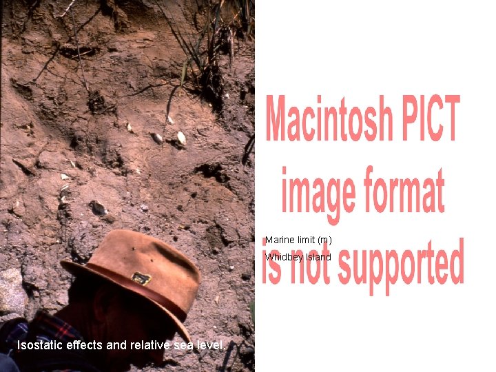 Marine limit (m) Whidbey Island Isostatic effects and relative sea level. 