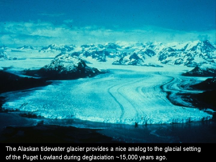 The Alaskan tidewater glacier provides a nice analog to the glacial setting of the