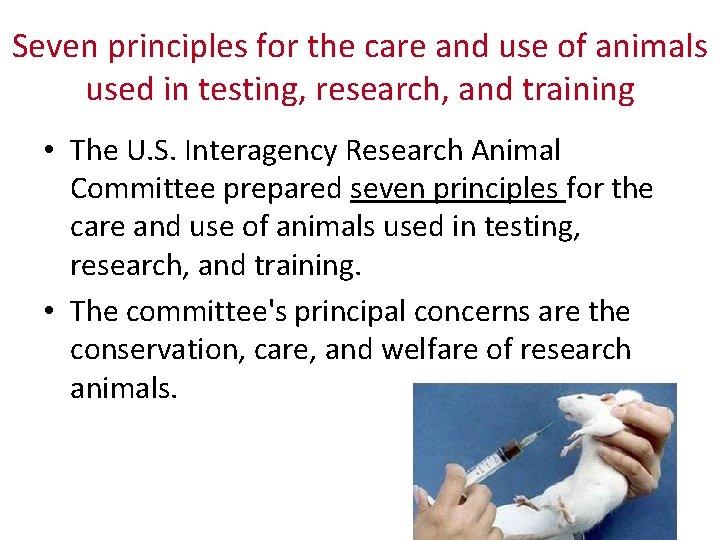 Seven principles for the care and use of animals used in testing, research, and