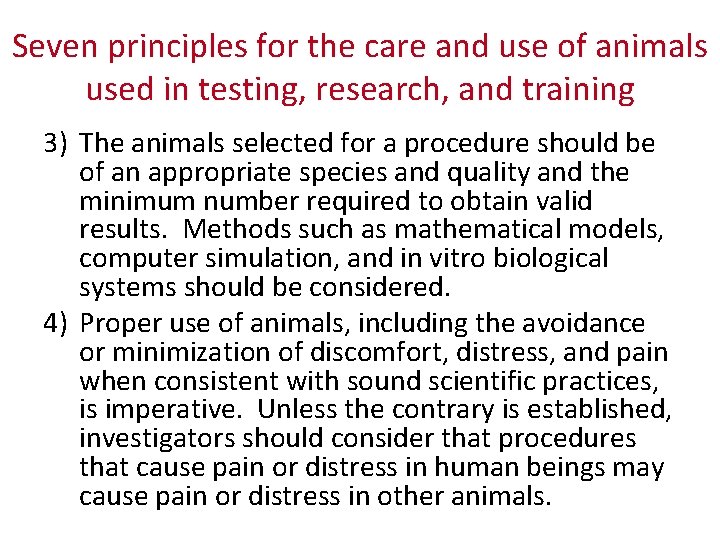 Seven principles for the care and use of animals used in testing, research, and