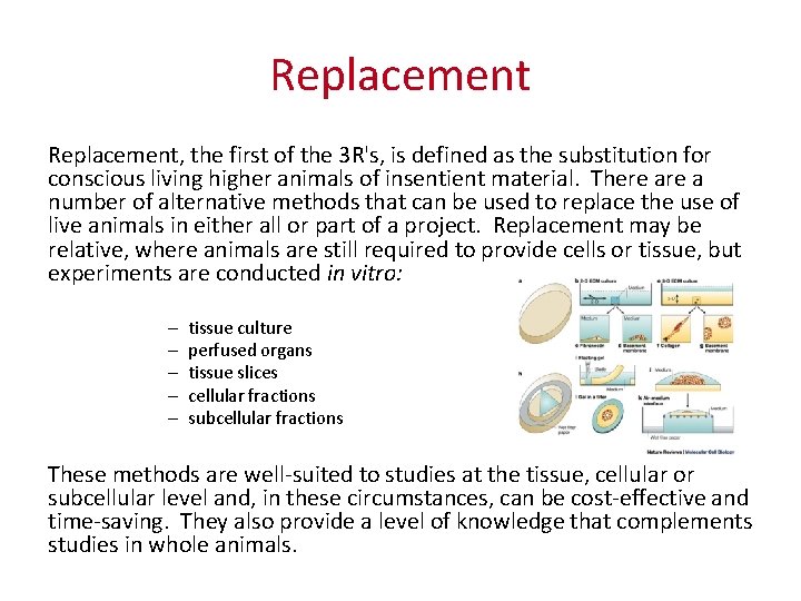 Replacement, the first of the 3 R's, is defined as the substitution for conscious