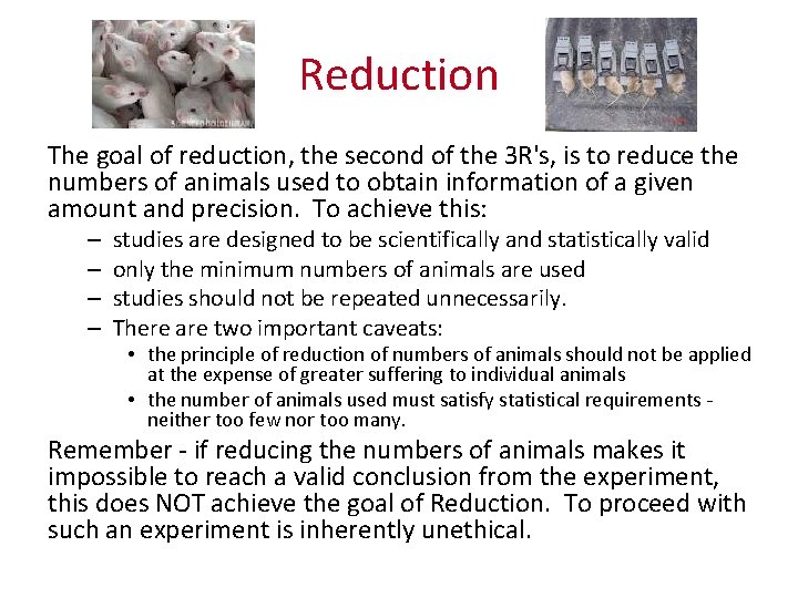 Reduction The goal of reduction, the second of the 3 R's, is to reduce