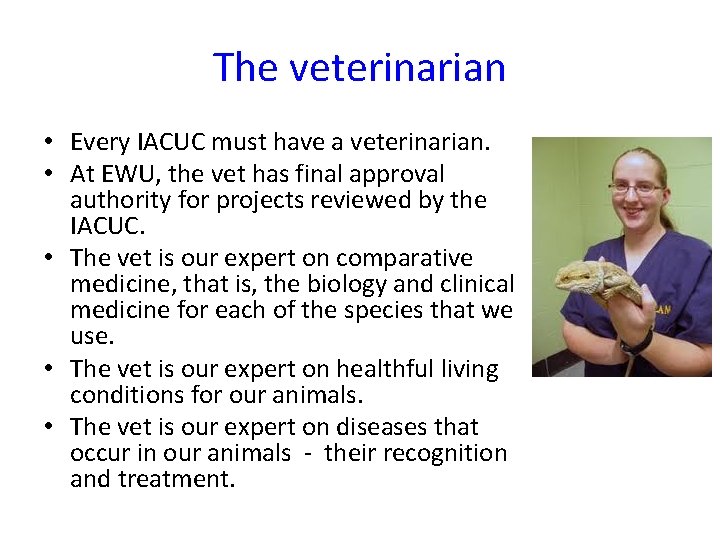 The veterinarian • Every IACUC must have a veterinarian. • At EWU, the vet