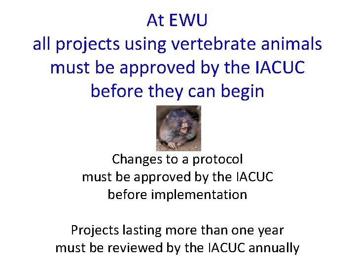 At EWU all projects using vertebrate animals must be approved by the IACUC before