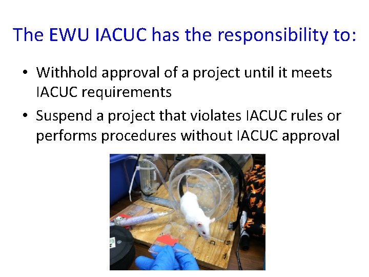 The EWU IACUC has the responsibility to: • Withhold approval of a project until