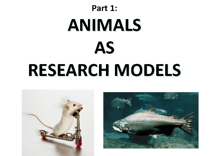 Part 1: ANIMALS AS RESEARCH MODELS 