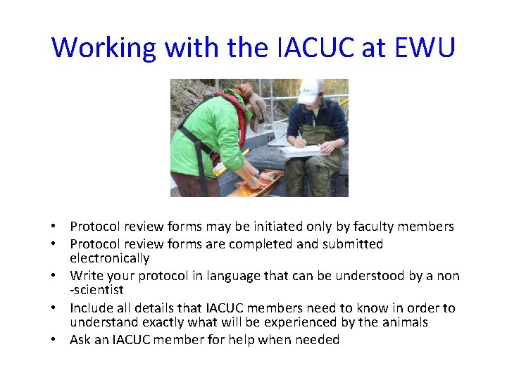 Working with the IACUC at EWU • Protocol review forms may be initiated only