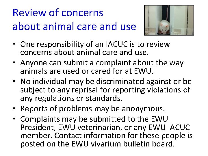 Review of concerns about animal care and use • One responsibility of an IACUC