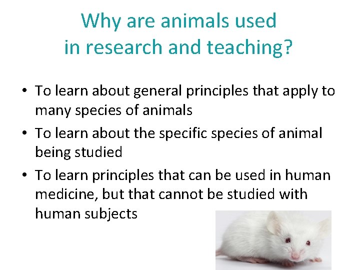 Why are animals used in research and teaching? • To learn about general principles
