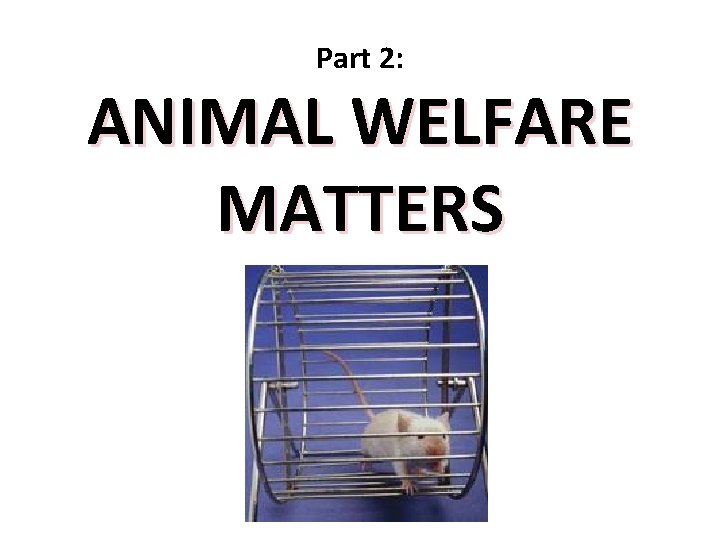 Part 2: ANIMAL WELFARE MATTERS 