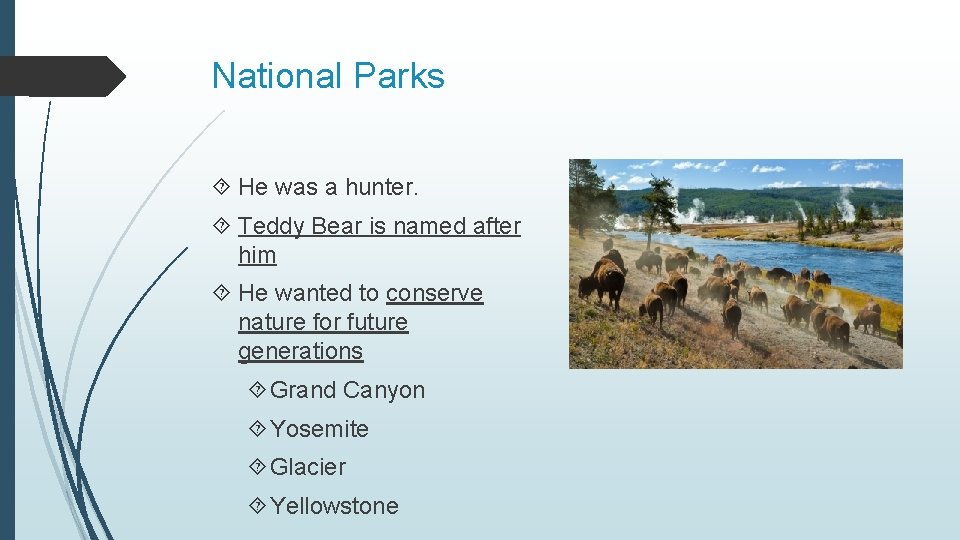 National Parks He was a hunter. Teddy Bear is named after him He wanted