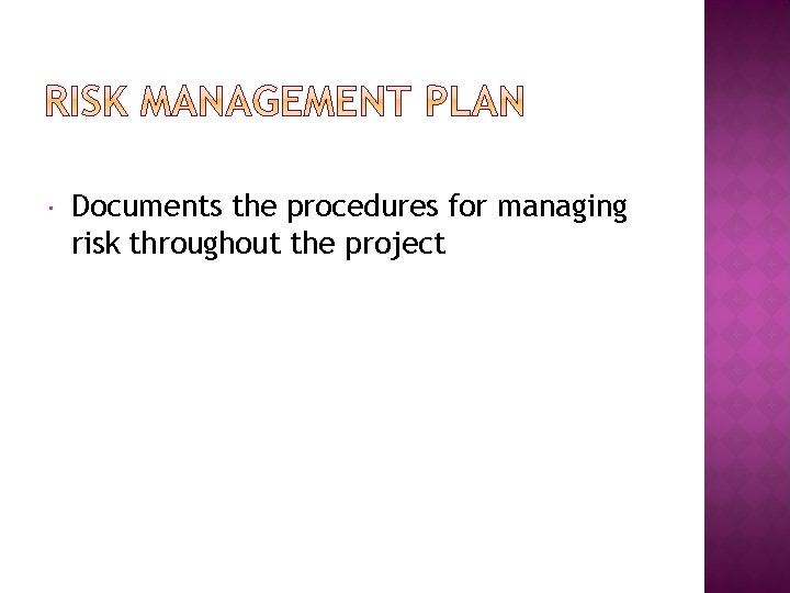 Documents the procedures for managing risk throughout the project Documents the procedures for managing risk throughout the project