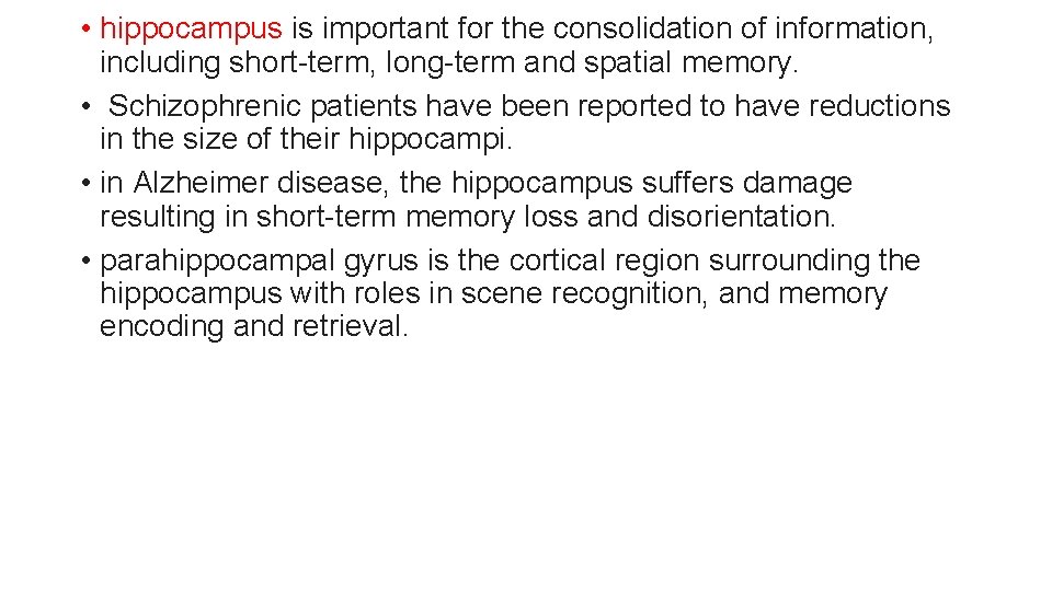 • hippocampus is important for the consolidation of information, including short-term, long-term and • hippocampus is important for the consolidation of information, including short-term, long-term and