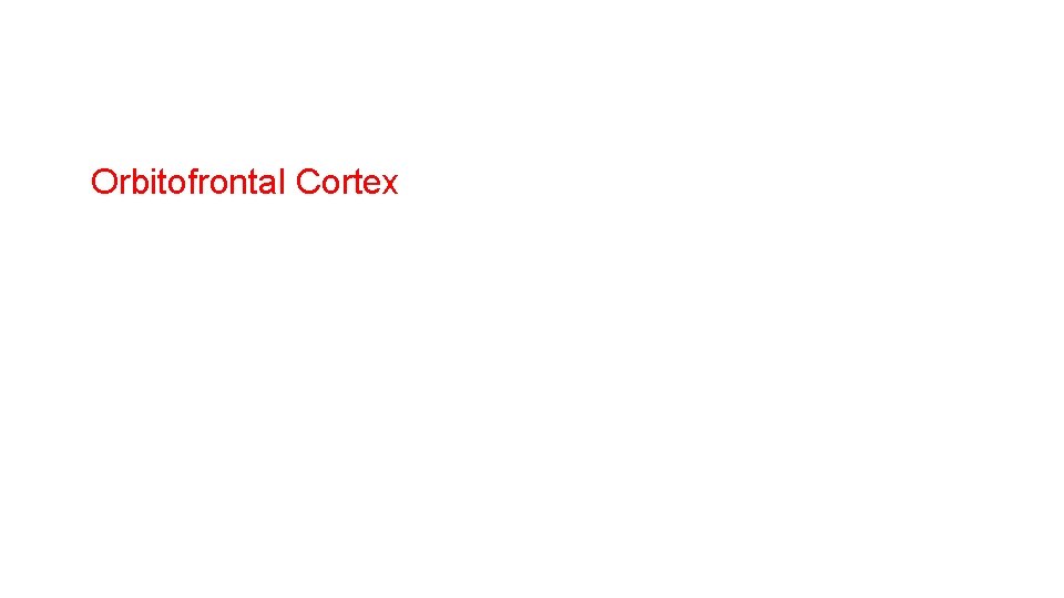 Orbitofrontal Cortex Orbitofrontal Cortex