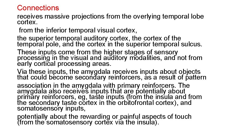 Connections receives massive projections from the overlying temporal lobe cortex. from the inferior temporal Connections receives massive projections from the overlying temporal lobe cortex. from the inferior temporal