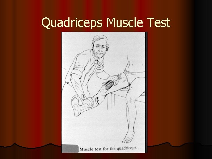 Quadriceps Muscle Test 