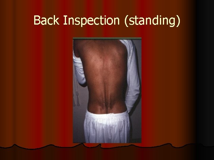 Back Inspection (standing) 