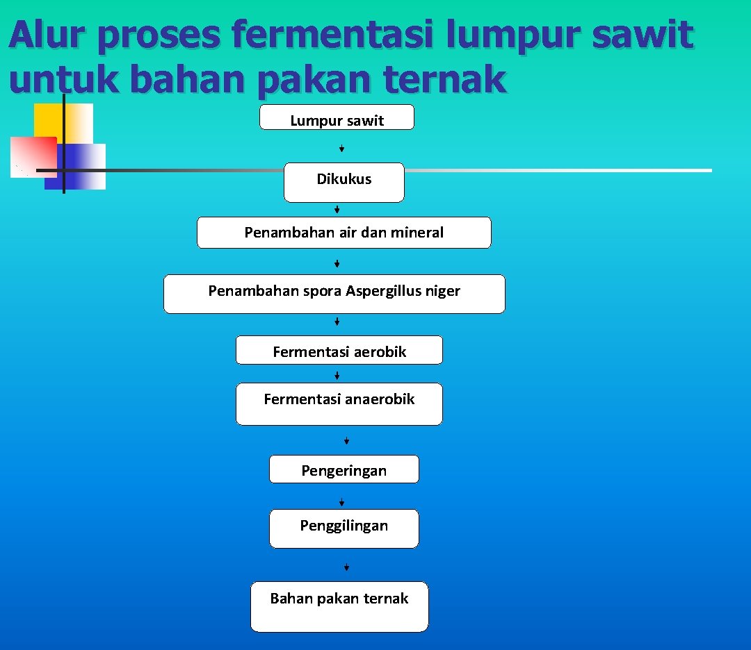 Alur proses fermentasi lumpur sawit untuk bahan pakan ternak Lumpur sawit Dikukus Penambahan air