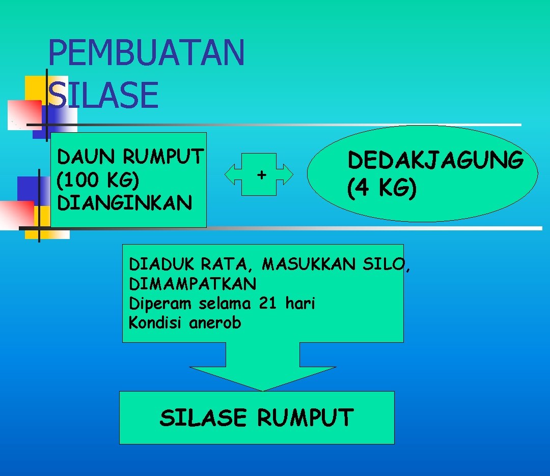 PEMBUATAN SILASE DAUN RUMPUT (100 KG) DIANGINKAN + DEDAKJAGUNG (4 KG) DIADUK RATA, MASUKKAN