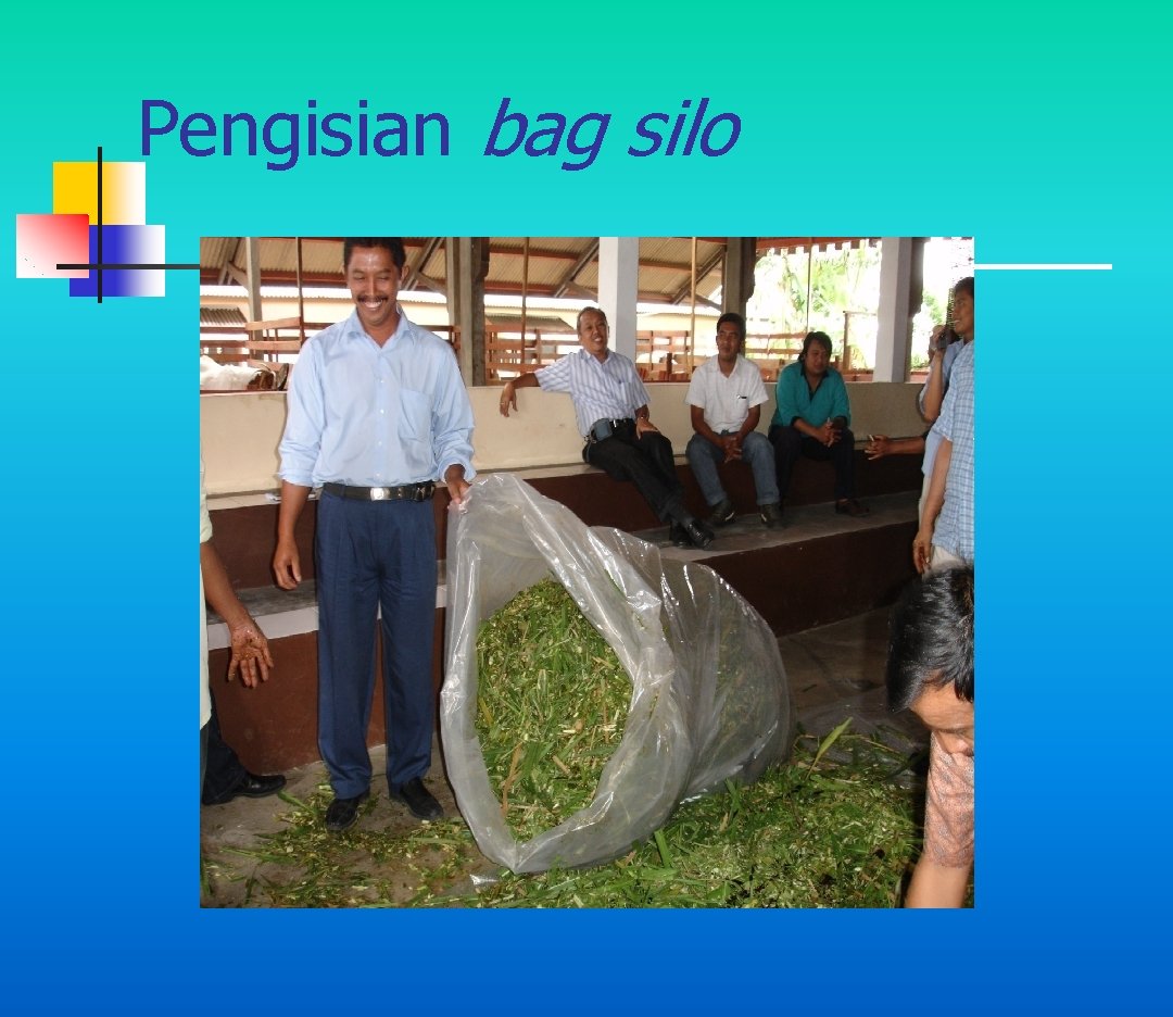 Pengisian bag silo 