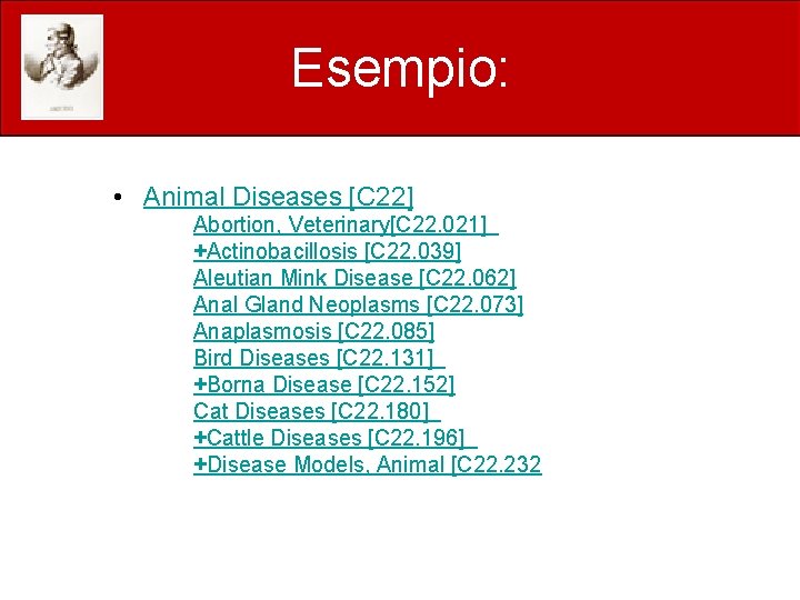 Esempio: • Animal Diseases [C 22] Abortion, Veterinary[C 22. 021] +Actinobacillosis [C 22. 039]