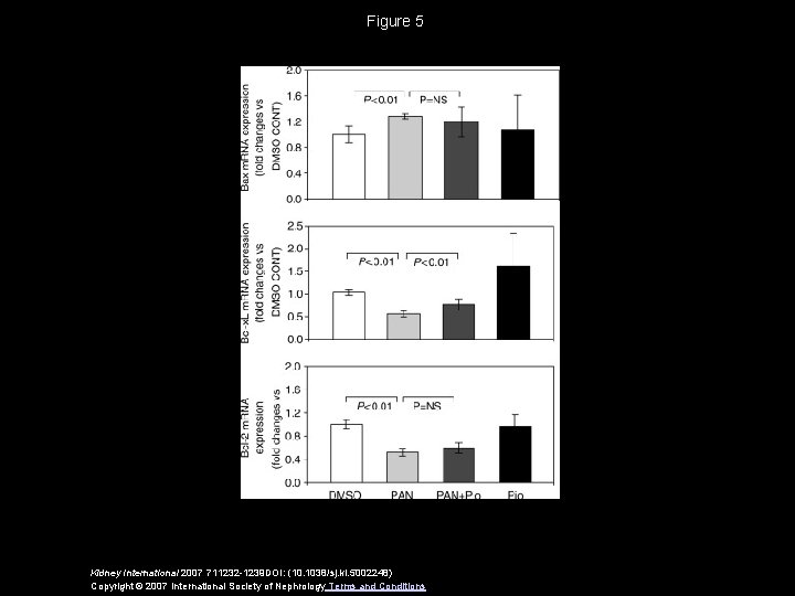 Figure 5 Kidney International 2007 711232 -1239 DOI: (10. 1038/sj. ki. 5002248) Copyright ©