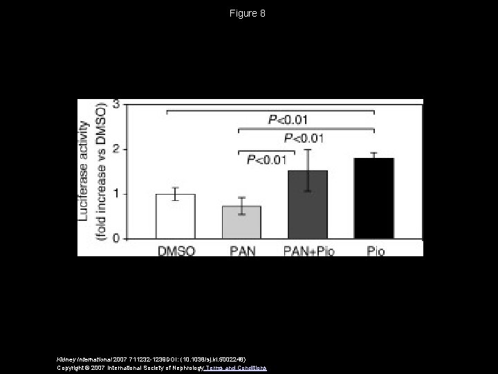 Figure 8 Kidney International 2007 711232 -1239 DOI: (10. 1038/sj. ki. 5002248) Copyright ©