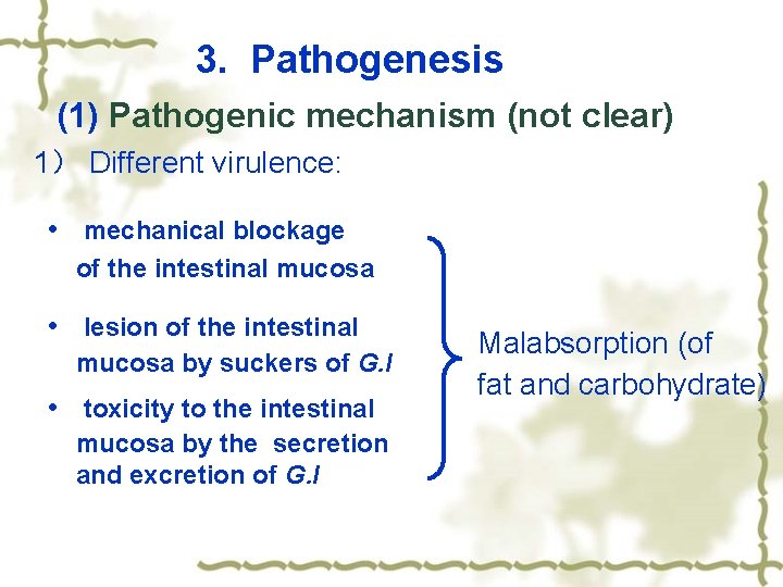  3. Pathogenesis (1) Pathogenic mechanism (not clear) 1） Different virulence: • mechanical blockage