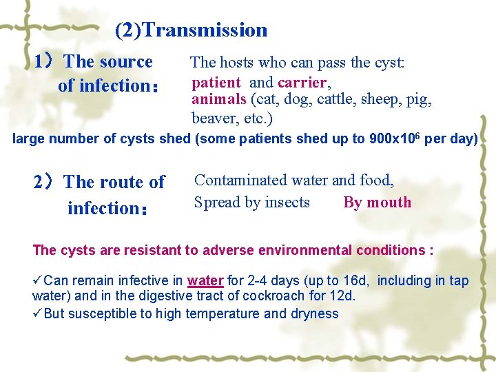(2)Transmission 1）The source of infection： The hosts who can pass the cyst: patient and