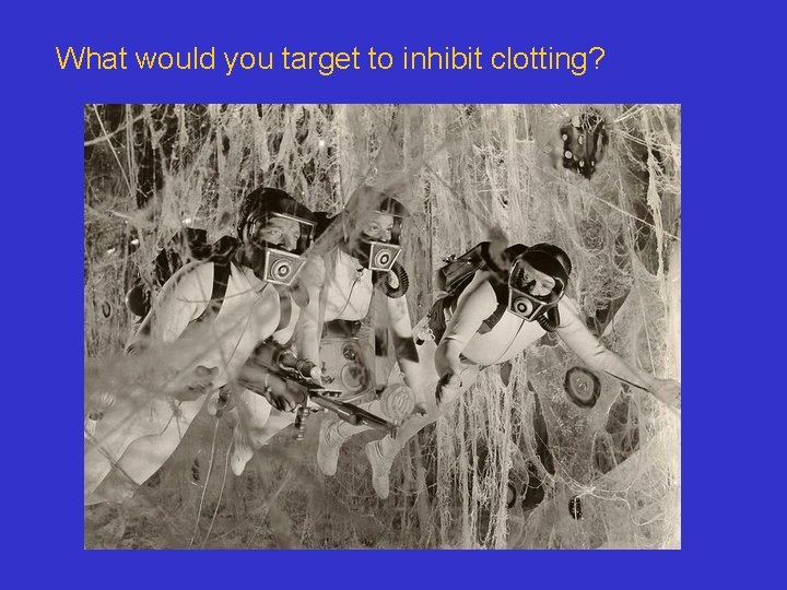 What would you target to inhibit clotting? 