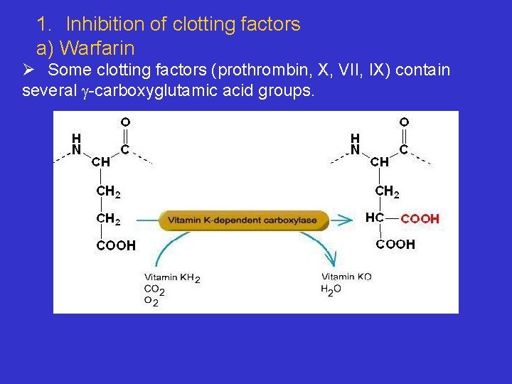 1. Inhibition of clotting factors a) Warfarin Ø Some clotting factors (prothrombin, X, VII,