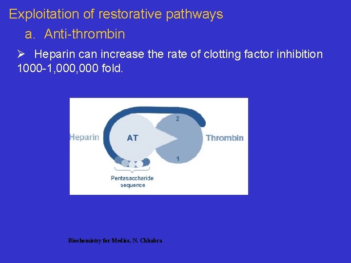 Exploitation of restorative pathways a. Anti-thrombin Ø Heparin can increase the rate of clotting