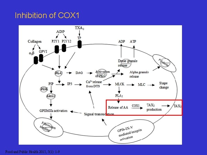 Inhibition of COX 1 Food and Public Health 2015, 5(1): 1 -9 