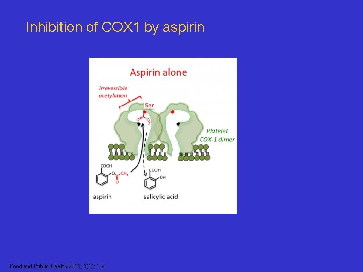 Inhibition of COX 1 by aspirin Food and Public Health 2015, 5(1): 1 -9