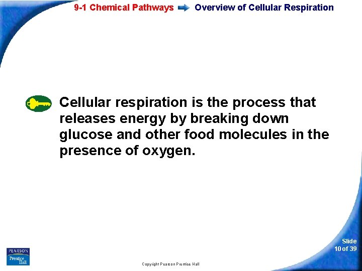 9 -1 Chemical Pathways Overview of Cellular Respiration Cellular respiration is the process that