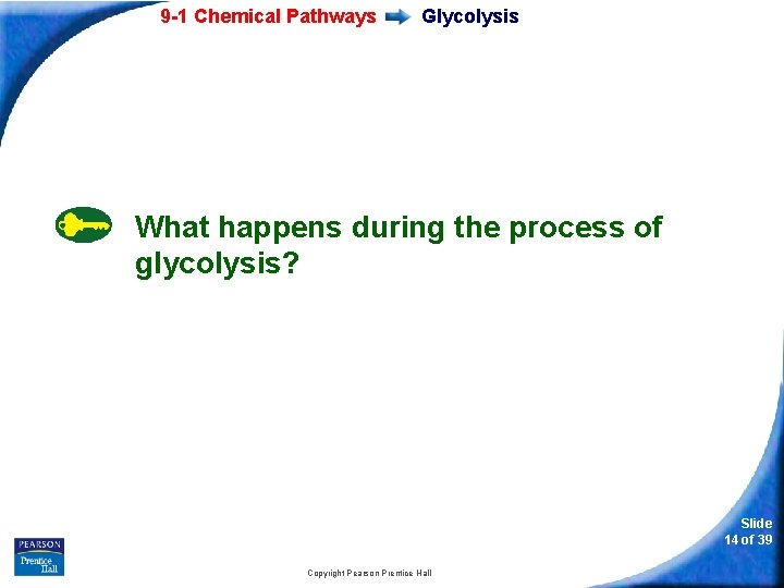 9 -1 Chemical Pathways Glycolysis What happens during the process of glycolysis? Slide 14