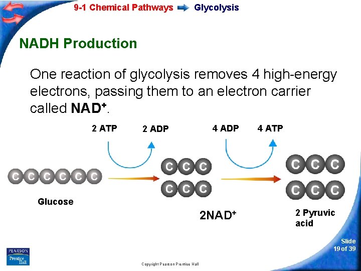 9 -1 Chemical Pathways Glycolysis NADH Production One reaction of glycolysis removes 4 high-energy
