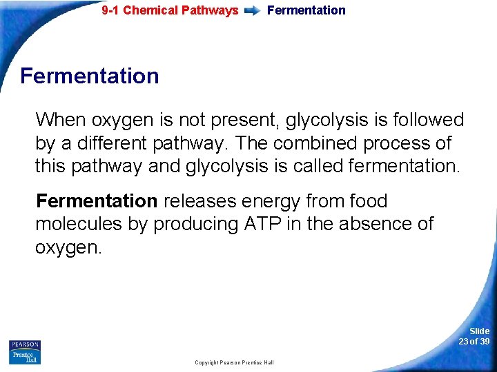 9 -1 Chemical Pathways Fermentation When oxygen is not present, glycolysis is followed by