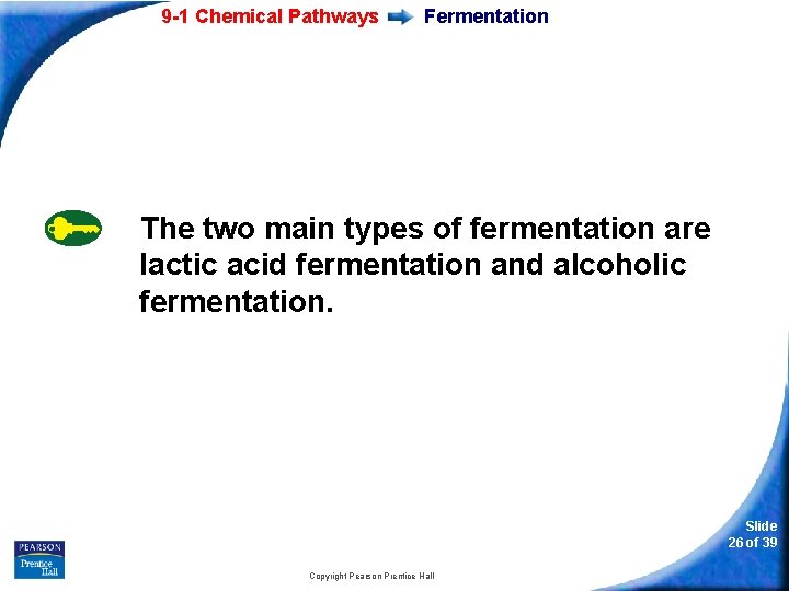 9 -1 Chemical Pathways Fermentation The two main types of fermentation are lactic acid
