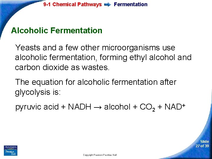 9 -1 Chemical Pathways Fermentation Alcoholic Fermentation Yeasts and a few other microorganisms use