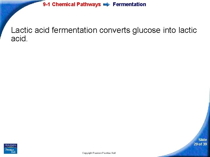 9 -1 Chemical Pathways Fermentation Lactic acid fermentation converts glucose into lactic acid. Slide