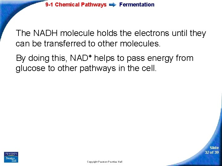 9 -1 Chemical Pathways Fermentation The NADH molecule holds the electrons until they can