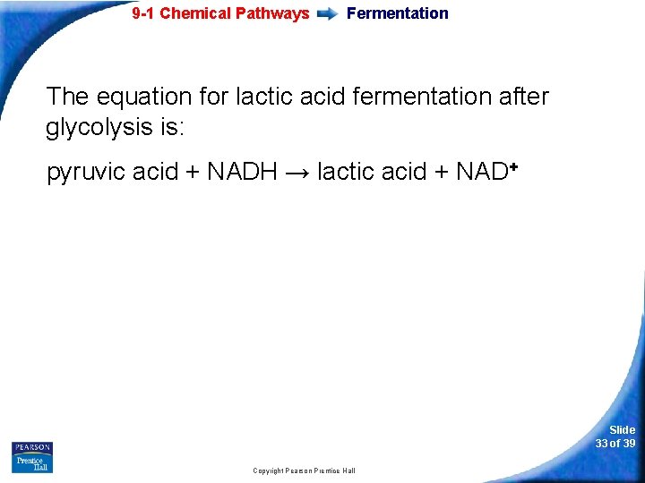 9 -1 Chemical Pathways Fermentation The equation for lactic acid fermentation after glycolysis is: