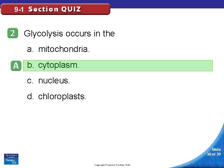 9 -1 Glycolysis occurs in the a. mitochondria. b. cytoplasm. c. nucleus. d. chloroplasts.