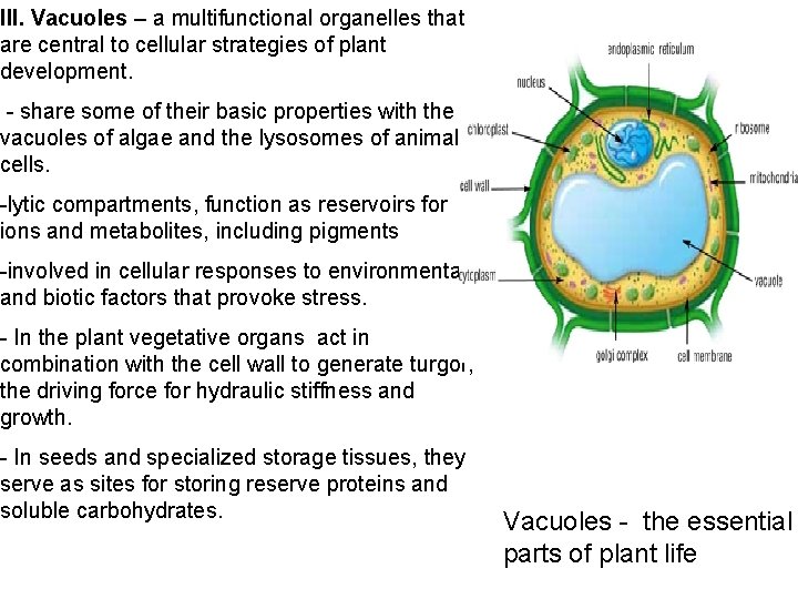 III. Vacuoles – a multifunctional organelles that are central to cellular strategies of plant