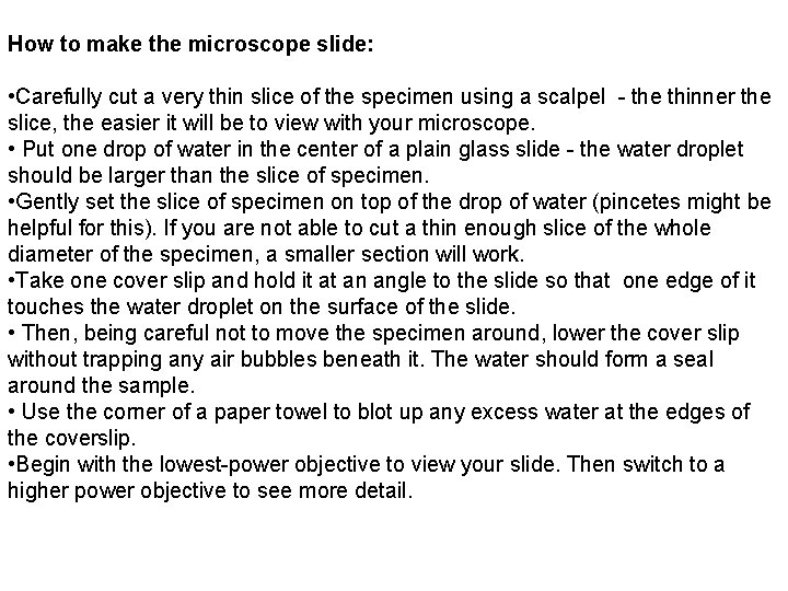 How to make the microscope slide: • Carefully cut a very thin slice of