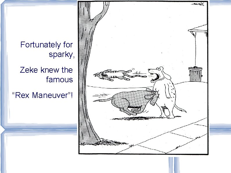 Fortunately for sparky, Zeke knew the famous “Rex Maneuver”! 